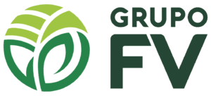 LOGO GRUPO FV